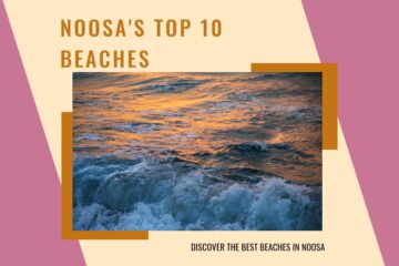 Beaches in Noosa